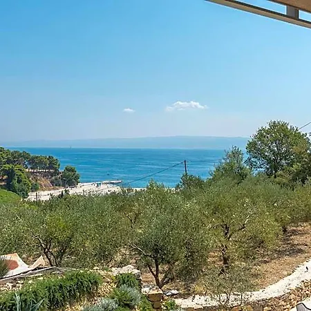 호텔 Pax 3*